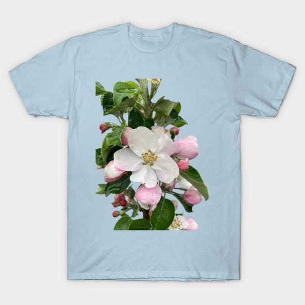 Apple Blossom T-Shirt by Amanda1775